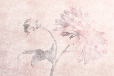 Walls by Patel 3 - Fototapet flori roz DD122392  -  A.S. Creation