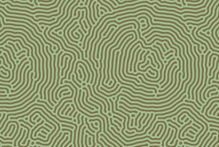 Walls by Patel 3 - Fototapet abstract verde DD122844  -  A.S. Creation