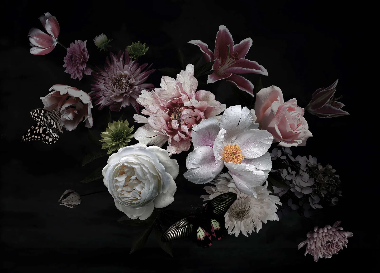 Colectii - Fototapet flori si fluturi negru DD123459  -  A.S. Creation