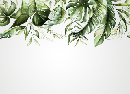 Fototapet plante tropicale pe perete gri DD123539  -  A.S. Creation [0]