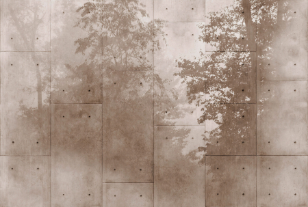 Walls by Patel 4 - Fototapet copaci maro DD127673  -  A.S. Creation