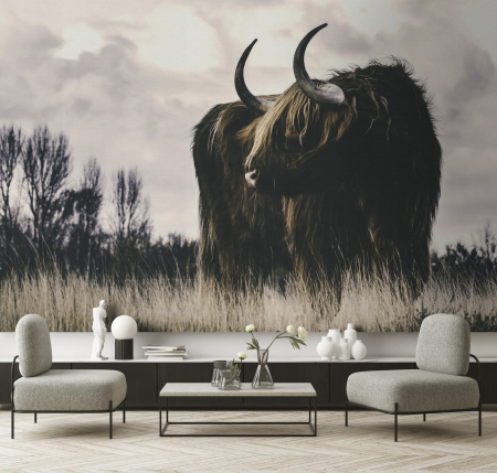 Fototapet bovin Highland maro DD134111 - A.S. Creation [1]