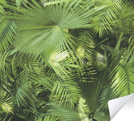 The Wallcover - Tapet 380541 The Wallcover