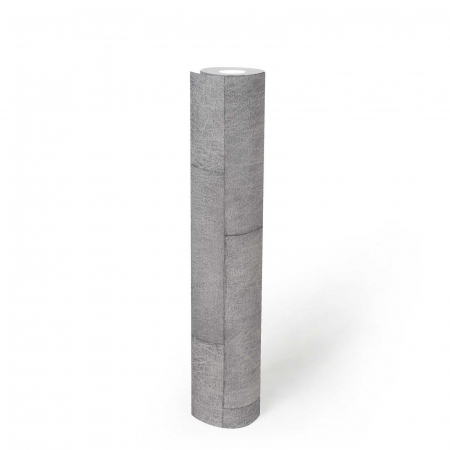 Tapet 38201-1 Titanium 3 [6]
