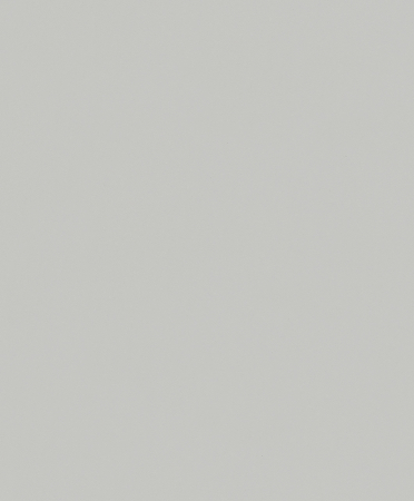 Tapet modern - Tapet decorativ 32748 New Spirit