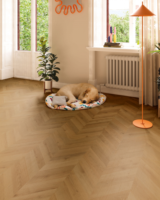 Parchet laminat, Finsa, 281B Chevron Espiga Dijon, 8 mm [3]
