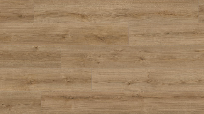 Parchet laminat, Kaindl, Natural Touch K4421, Oak Evoke Trend, 8 mm 32/AC4 4V [2]