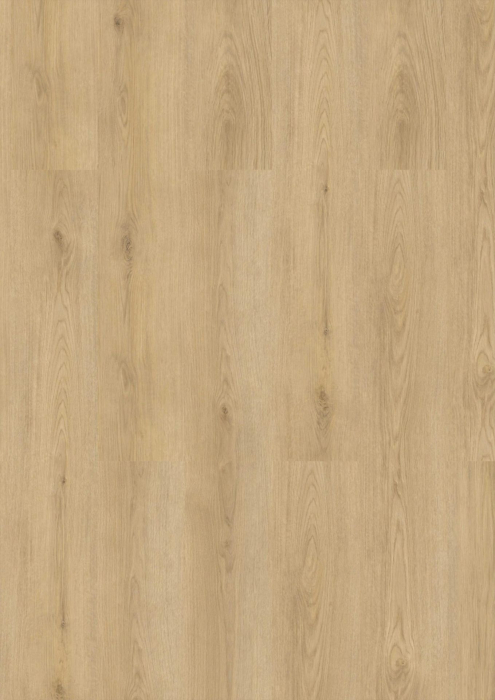 Parchet SPC CHECK one 2484, Stejar Marienthal, 6,5 mm, clasa 34 [2]