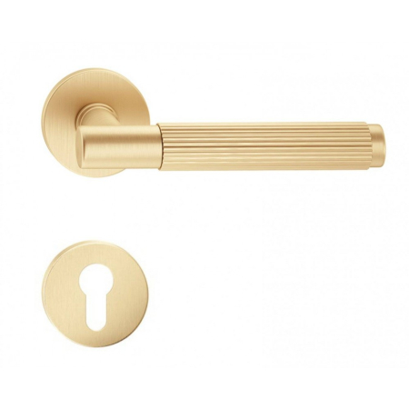 Manere - Maner usa de interior, TIME LINEAR, auriu satin, cu rozeta cilindru/butuc