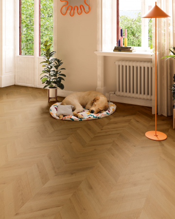 Parchet laminat, Finsa, 281B Chevron Espiga Dijon, 8 mm [2]