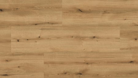 Parchet laminat, Kaindl, Masterfloor K5573, Oak Evoke Coast, 10 mm 32/AC4 4V [1]