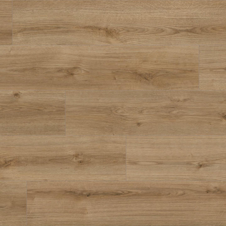 Kaindl - Laminat - Parchet laminat, Kaindl, Natural Touch K4421, Oak Evoke Trend, 8 mm 32/AC4 4V