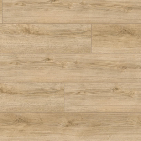 Kaindl - Laminat - Parchet laminat, Kaindl, Natural Touch K4420, Oak Evoke Delight, 8 mm 32/AC4 4V