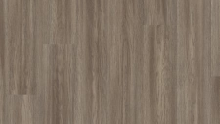 Woodstock 8mm - Parchet laminat, Tarkett, Skye Oak, 8 mm, 4V