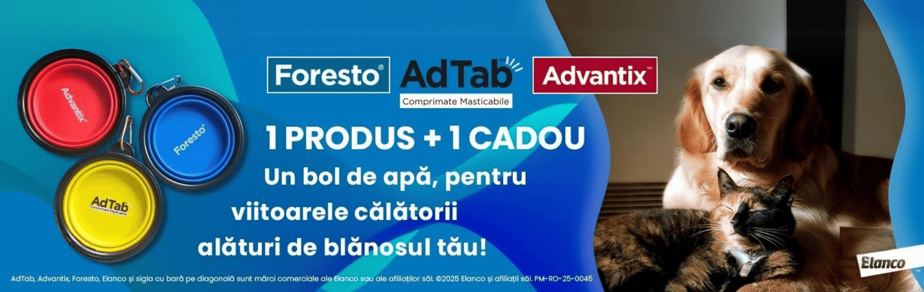 Foresto+bol