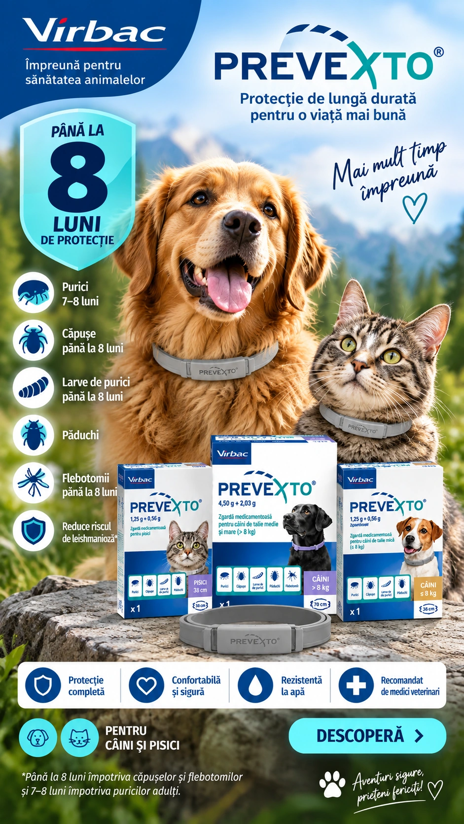 Prevexto mobil