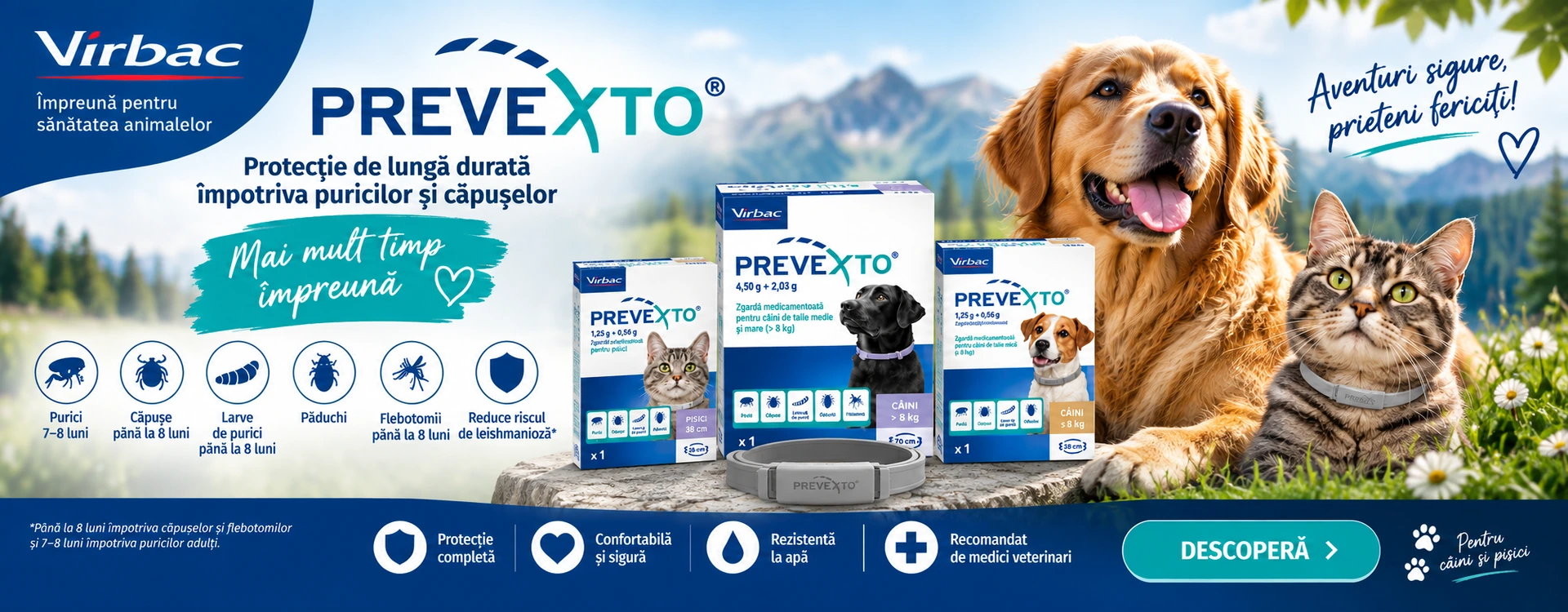 Prevecto Desktop