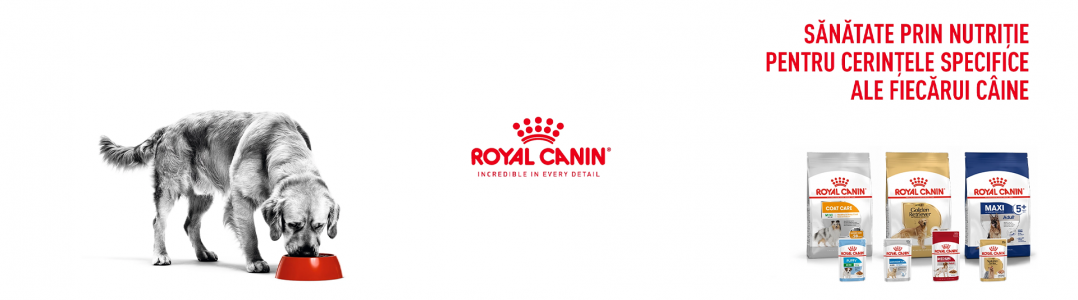 Royal Canin caine