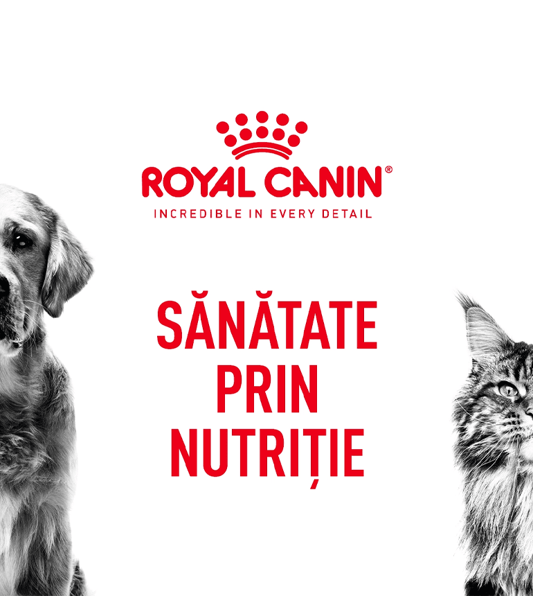 Royal Canin Mobil