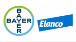 Bayer x