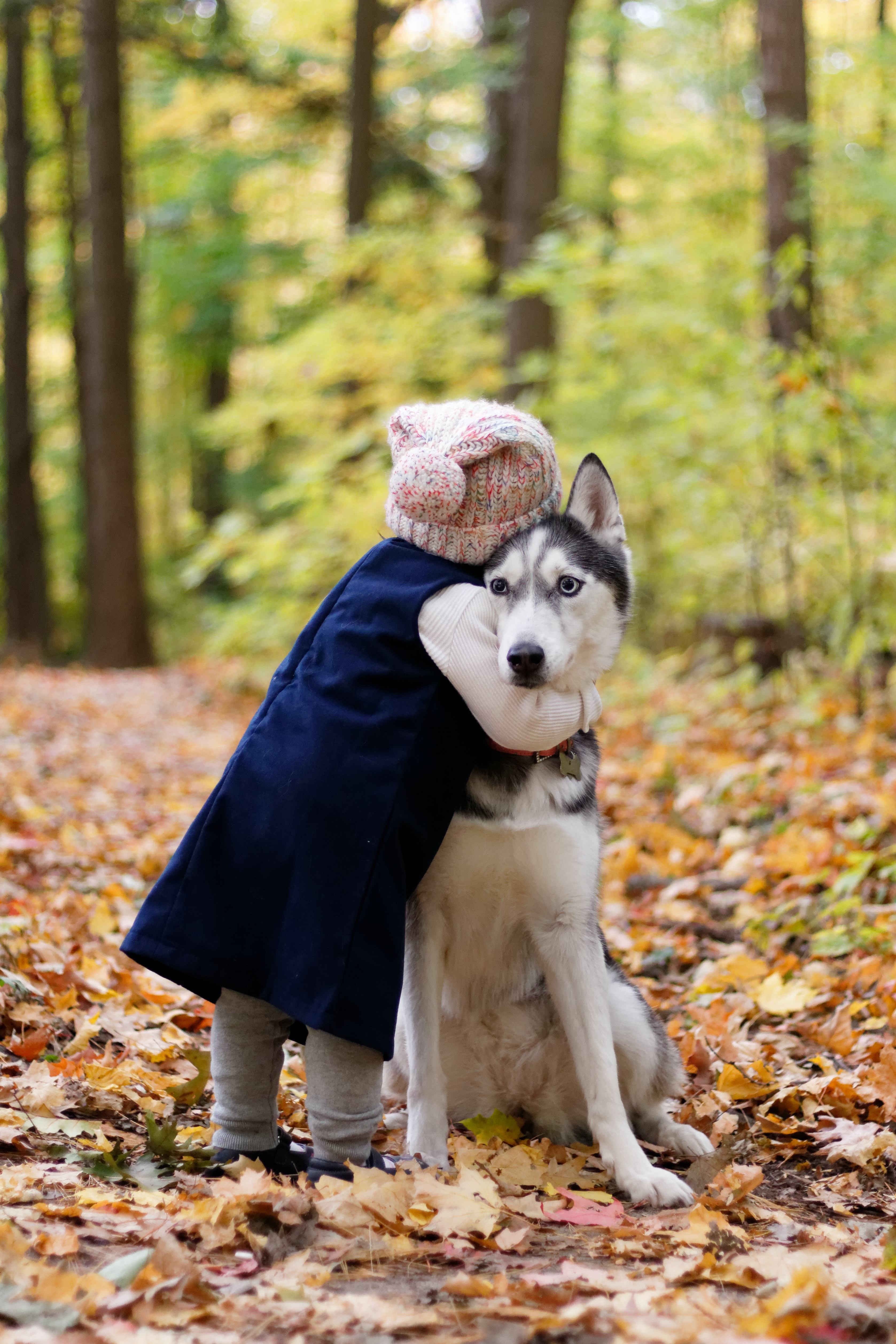 Cum înveți copiii să aibă grijă de animalele de companie?