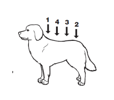 Deparazitare Externă Pentru Caini Vectra 3d Dog 10 25 Kg 1 Pipeta
