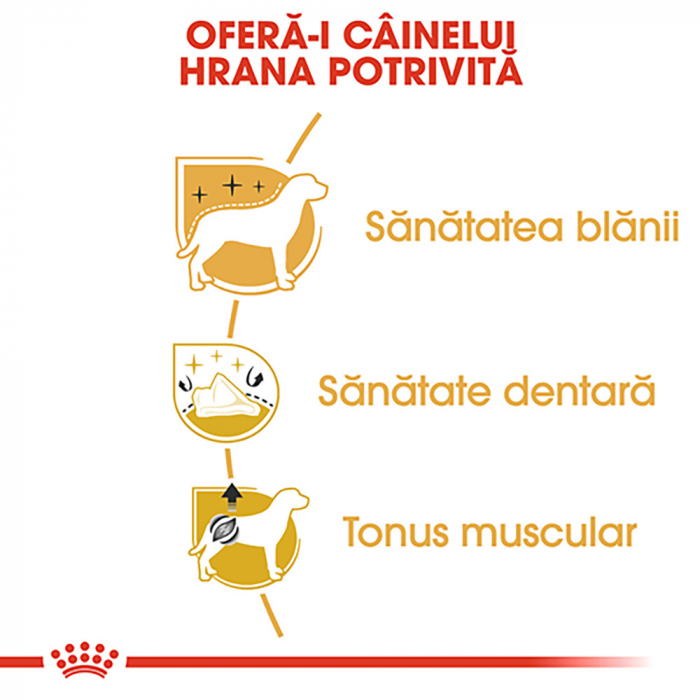 1.5 kg Royal Canin Poodle Adult hrana uscata caine [6]