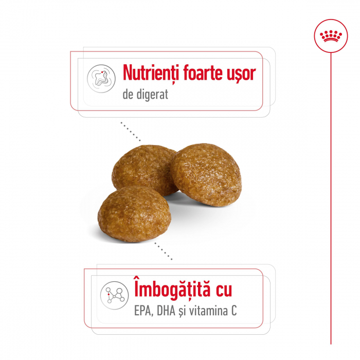 1.5 kg Royal Canin X-Small Adult hrana uscata caine [3]