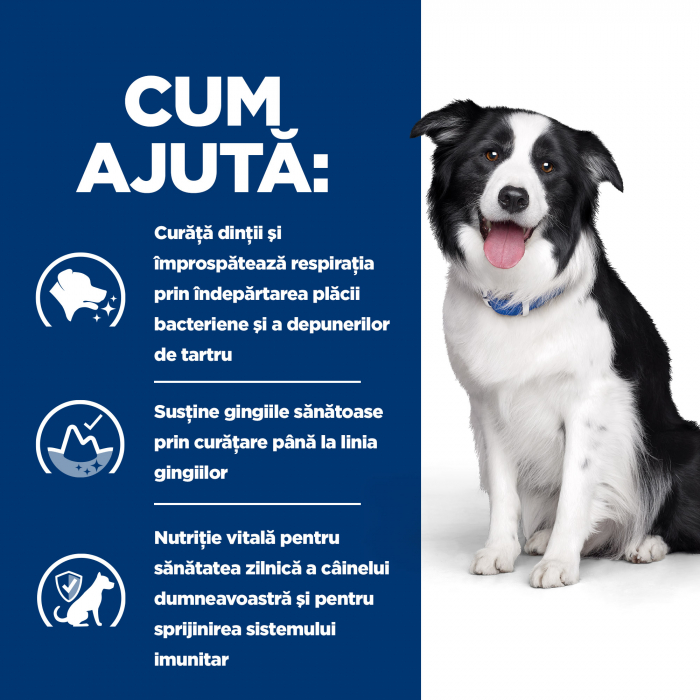 10kg Hill’s PD t/d Dental Care  hrana pentru caini cu probleme dentare [7]