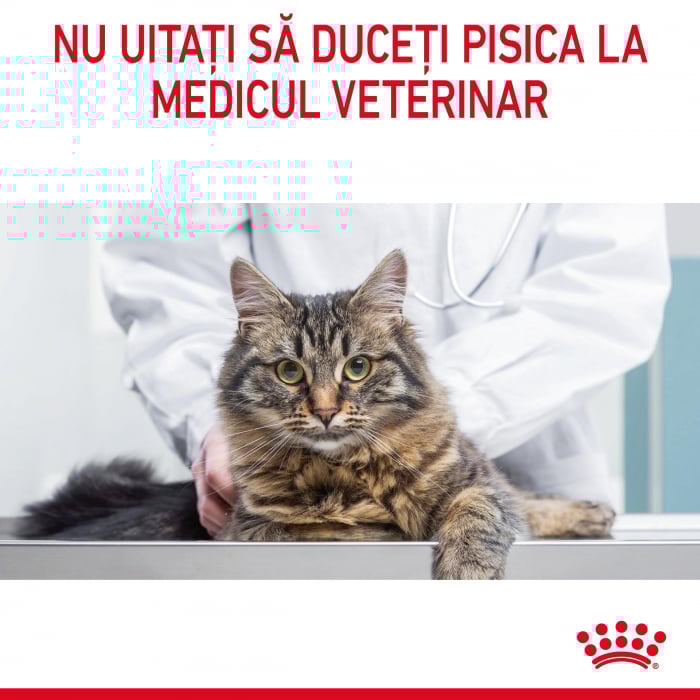 10kg Royal Canin Appetite Control Adult hrana uscata pisica sterilizata pentru reglarea apetitului [10]