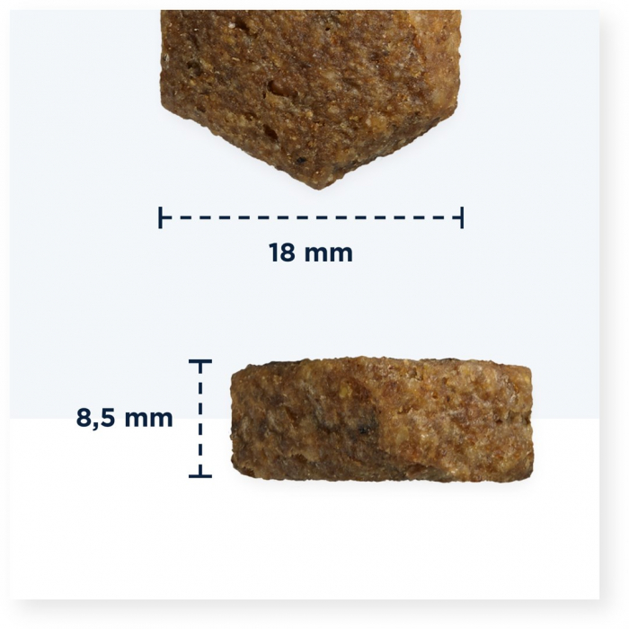 12kg Hrana uscata pentru caini Eukanuba Ciobanesc German [2]