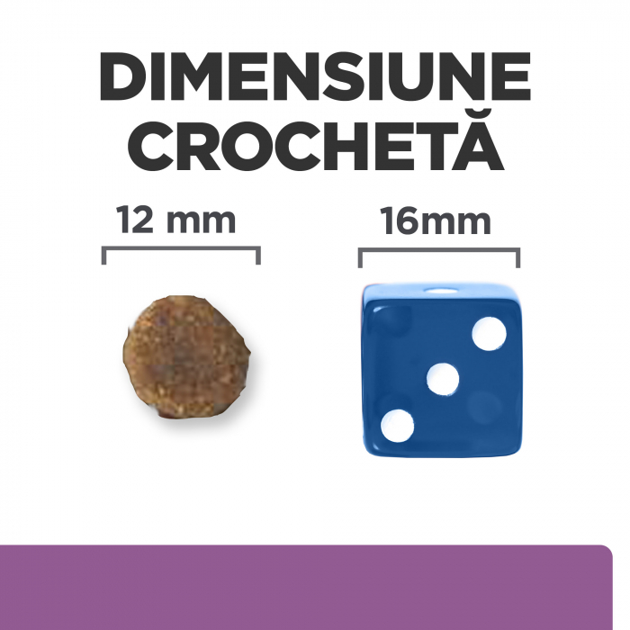 3kg Hill`s PD CANINE B/D, hrana uscata dieta veterinara pentru caini [2]
