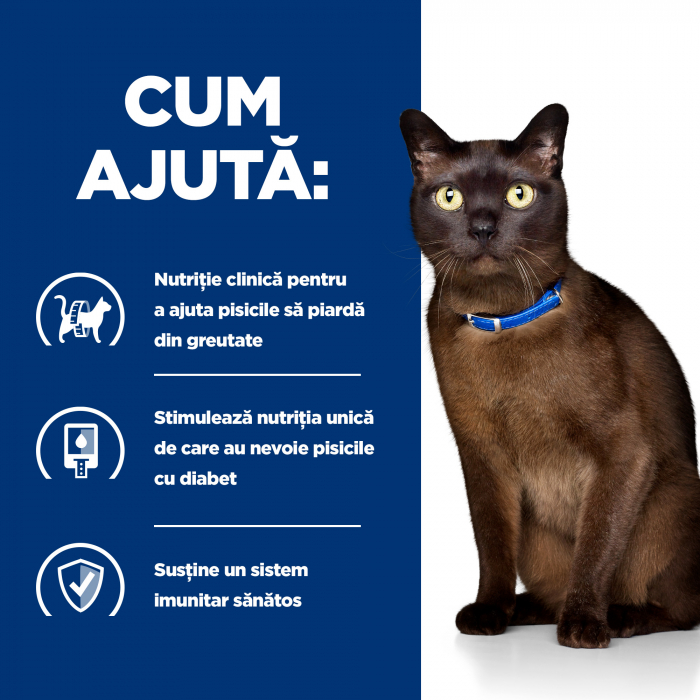 3kg Hill's PD Feline M/D [8]