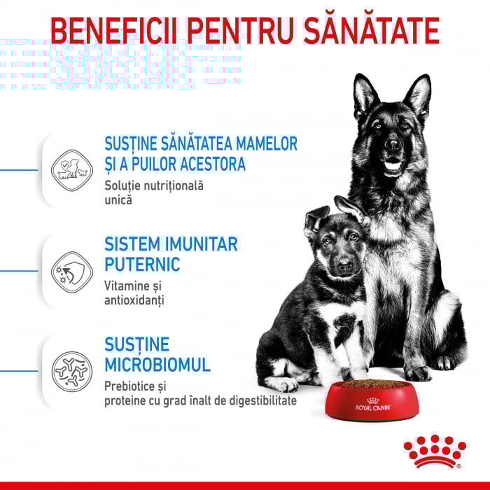 4 kg Royal Canin Maxi Starter Mother & BabyDog, mama si puiul, hrana uscata caini [5]