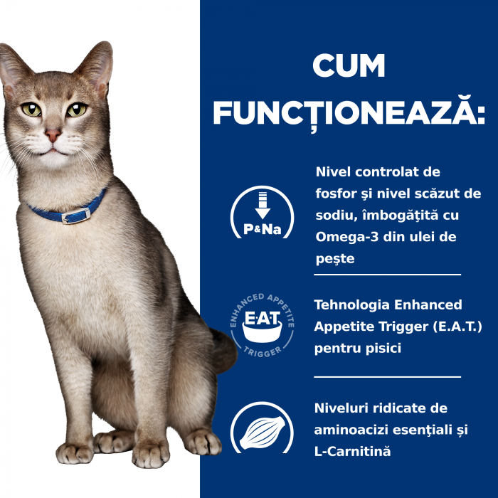 400g Hill's PD Feline K/D, hrană uscată dietă veterinară pentru pisici cu probleme renale [2]