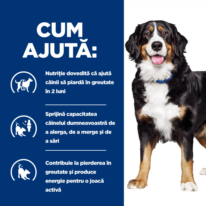 4kg Hill's PD Canine Metabolic Plus Mobility, hrană uscată dietă veterinară pentru câini cu probleme articulare [8]