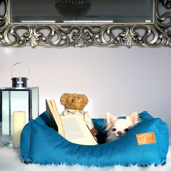 SOFA MAGNETIC CARE, ALBASTRU MARIN, VETEXPERT, MARIMEA M, 50 X 40 CM [3]