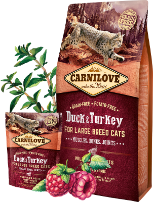 Carnilove Duck and Turkey Large Breed Cats 6 kg [2]