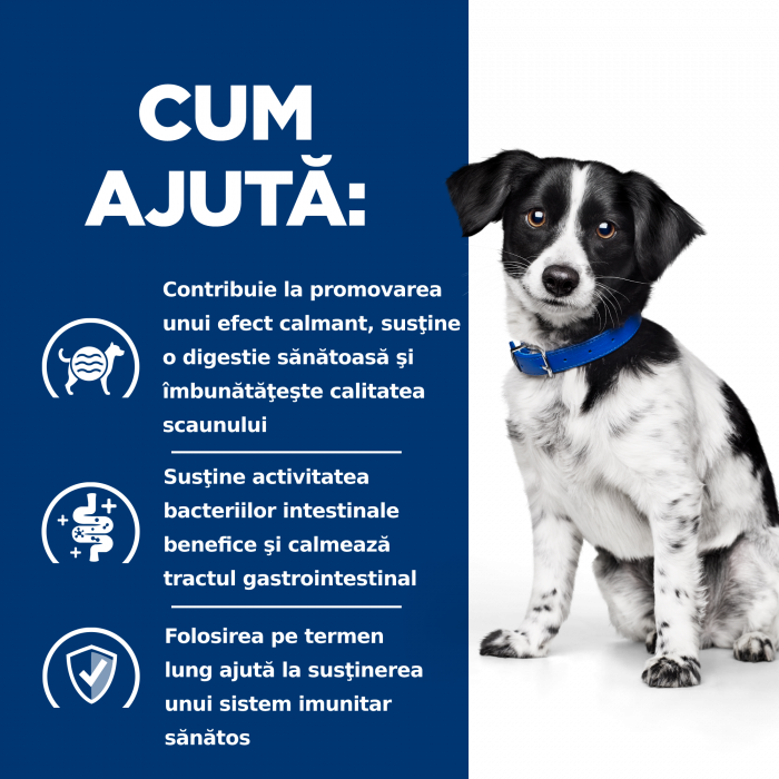 6kg Hill's PD Canine I/D Stress Mini, hrană uscată dietă veterinară pentru câini cu probleme digestive [10]