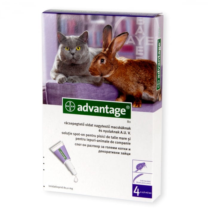 Pipetă antiparazitară pentru pisici și iepuri 4-8 kg Advantage 80 - 1 pipetă [1]