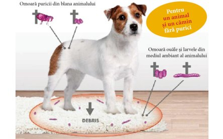 Deparazitare externă și internă pentru câini de 5-10 kg - Stronghold 60mg cutie cu 3 pipete [3]
