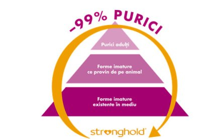 Deparazitare externă și internă pentru câini de 5-10 kg - Stronghold 60mg cutie cu 3 pipete [4]