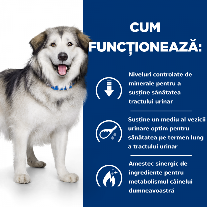 1.5kg Hill's PD Canine c/d + Metabolic, hrana uscata dieta veterinara pentru caini [2]