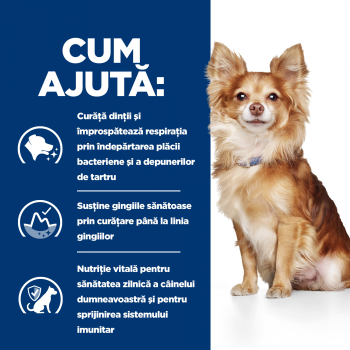 3kg Hill's PD t/d Dental Care Mini  hrana dieta veterinara pentru caini [8]