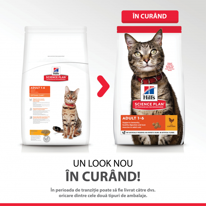 Hill’s SP Adult  hrana pentru pisici cu pui 3 kg [6]