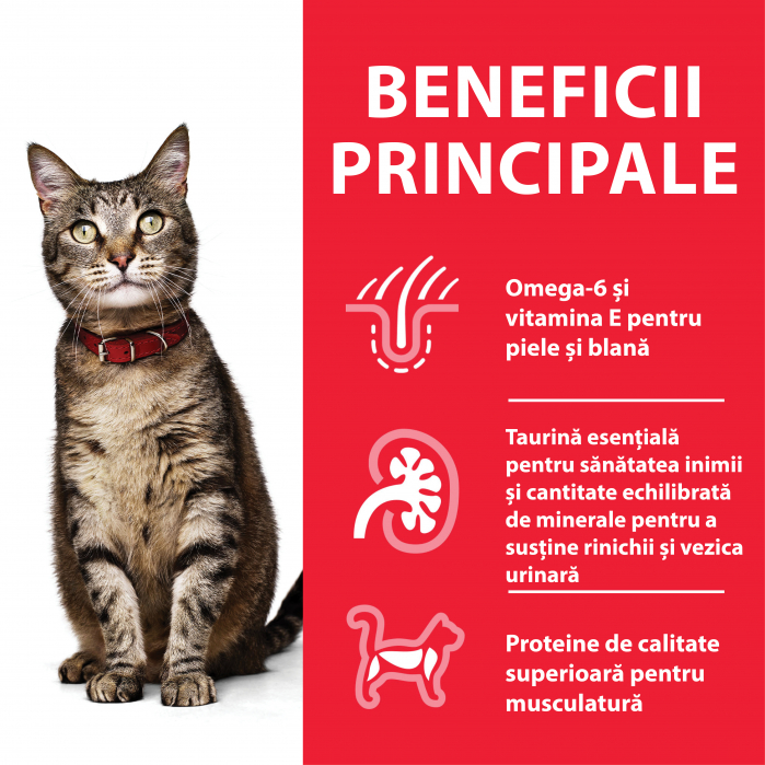 Hill’s SP Adult  hrana pentru pisici cu pui 300 g [5]