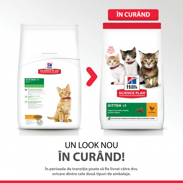 Hill’s SP Kitten  hrana pentru pisici cu pui 7 kg [6]