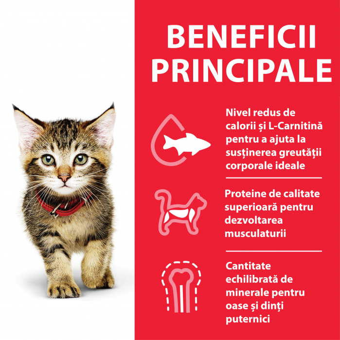 Hill’s SP Kitten  hrana pentru pisici cu pui 7 kg [5]