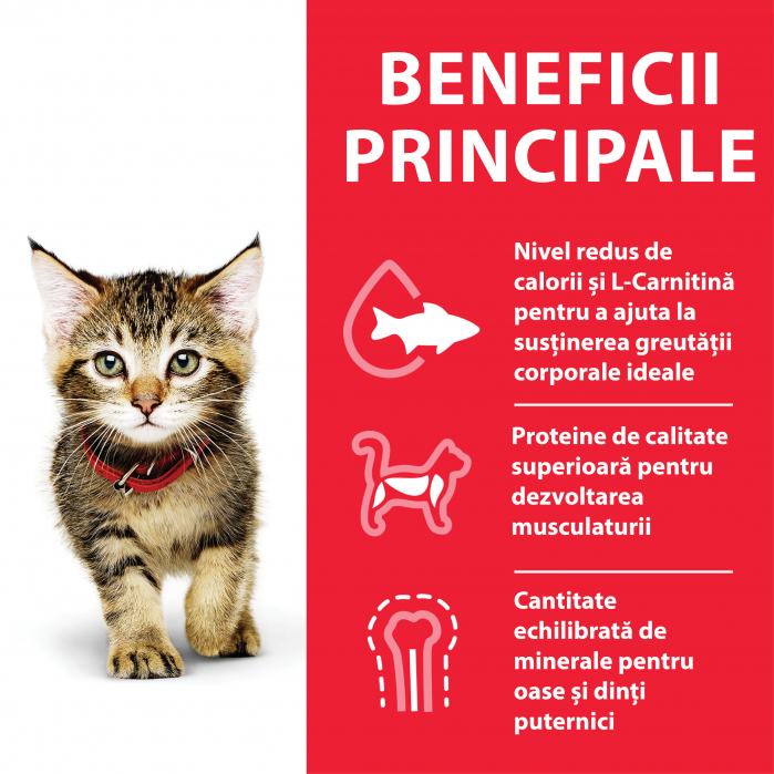 Hill’s SP Kitten  hrana pentru pisici cu ton 300g [6]