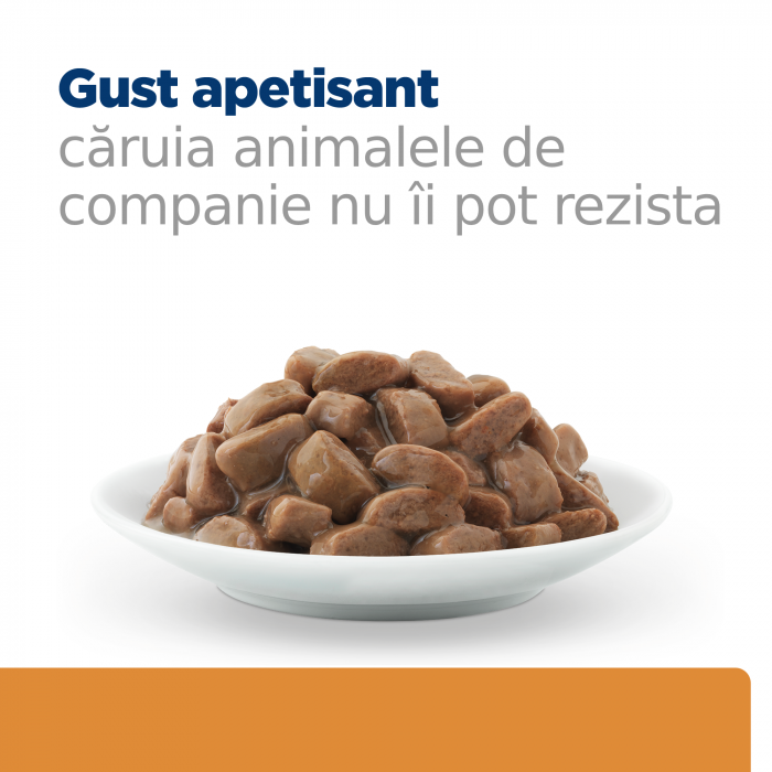 Hrană umedă dietă pentru pisici Hills K/D Feline cu pui - plic 85g [2]